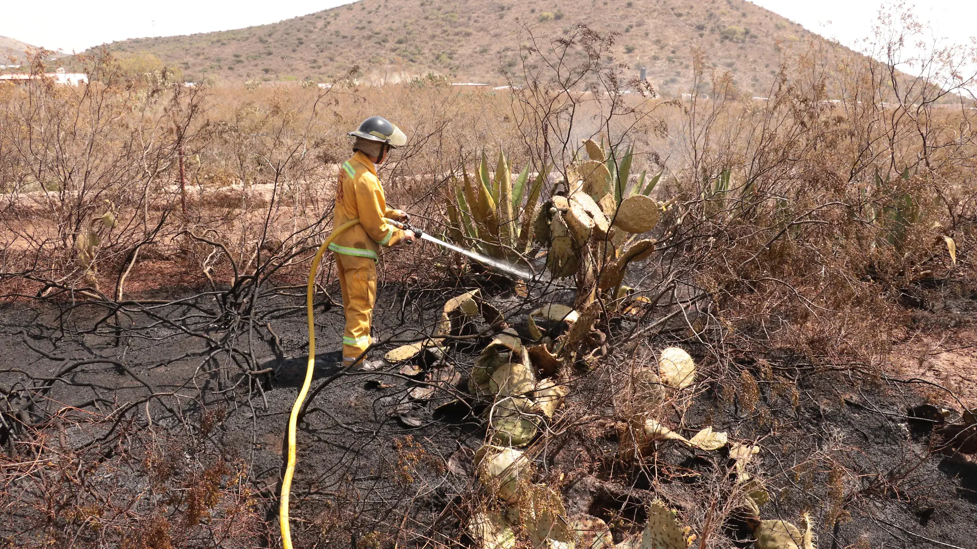 incendios soledad (2)